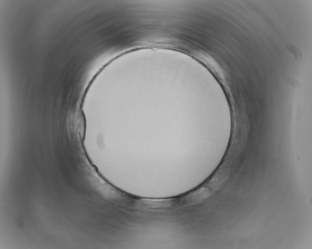 X0000110971344200907310921