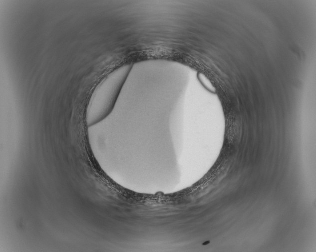 X0000110971345200907310921