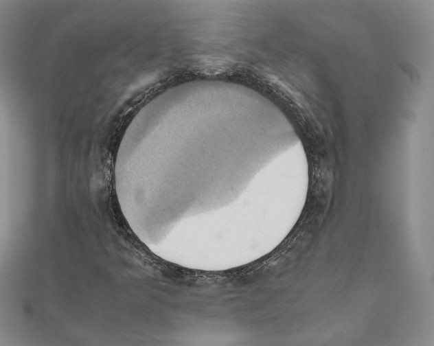 X0000110971349200907310921