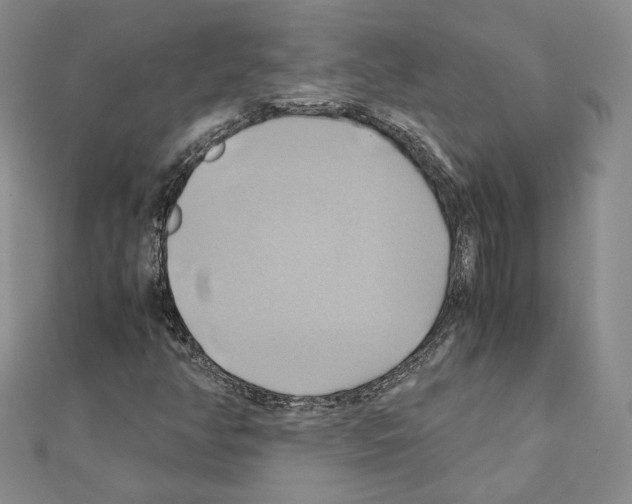 X0000110971350200907310921