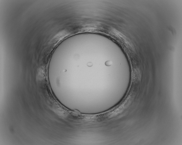X0000110971353200907310921