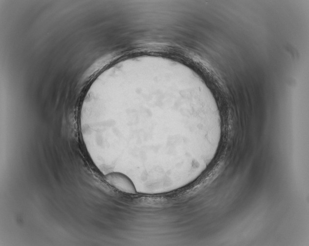 X0000110971354200907310921