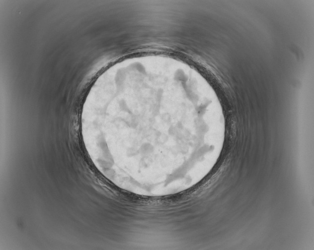 X0000110971355200907310921