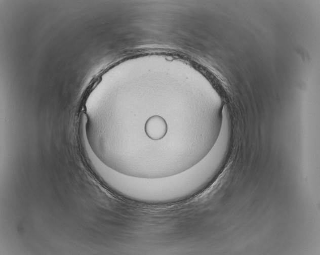 X0000110971357200907310921