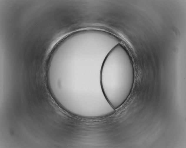 X0000110971360200907310921