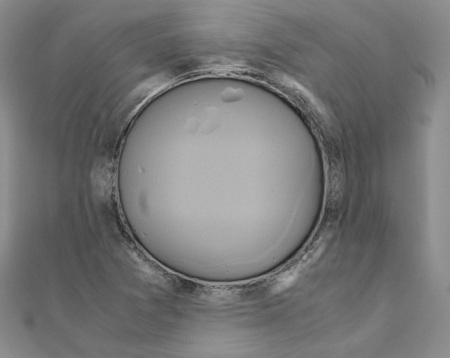 X0000110971361200907310921