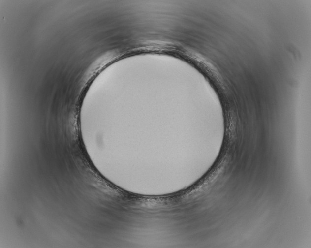 X0000110971362200907310921