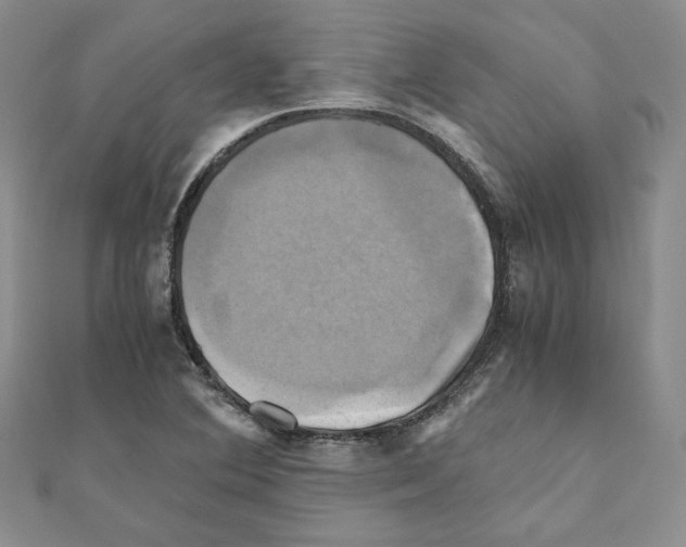 X0000110971364200907310920