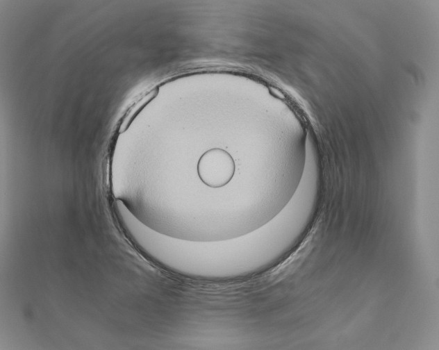 X0000110971365200907310920