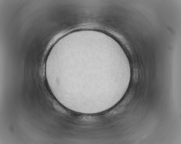 X0000110971366200907310920