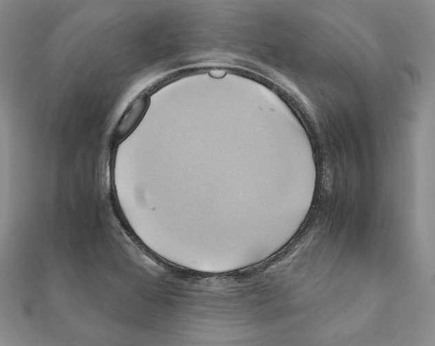 X0000110971368200907310920
