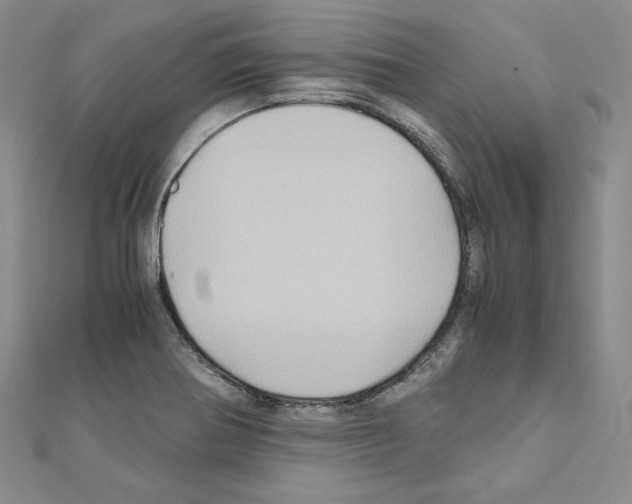 X0000110971370200907310920