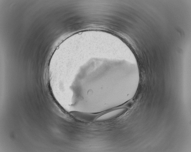 X0000110971371200907310920
