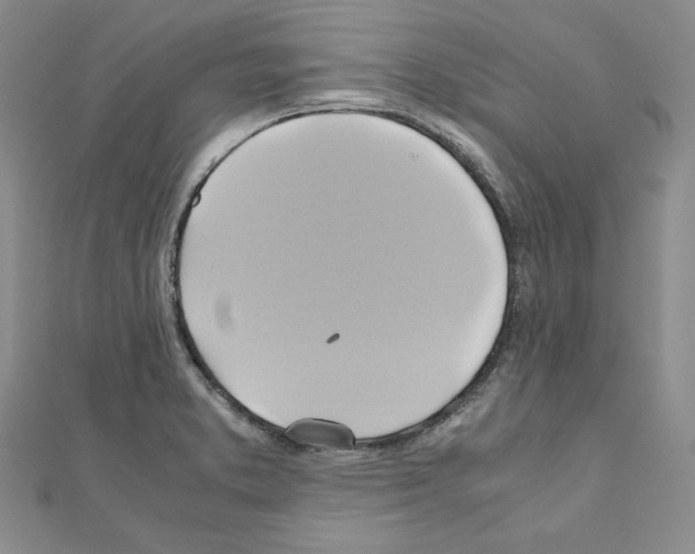 X0000110971373200907310920