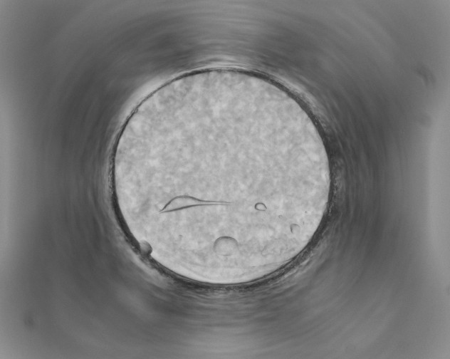 X0000110971375200907310920