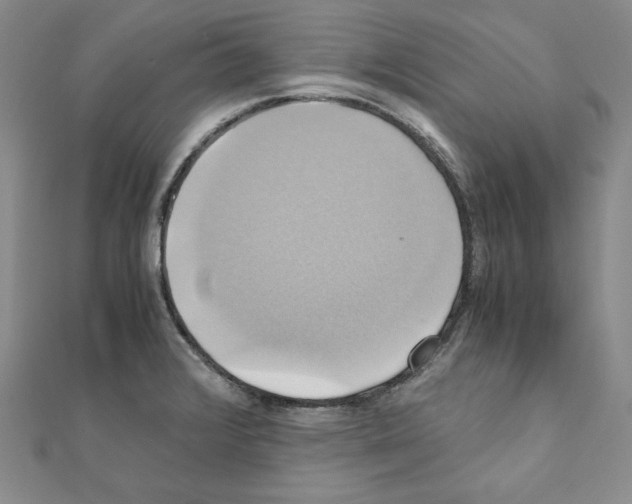 X0000110971376200907310920