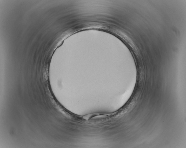 X0000110971377200907310920