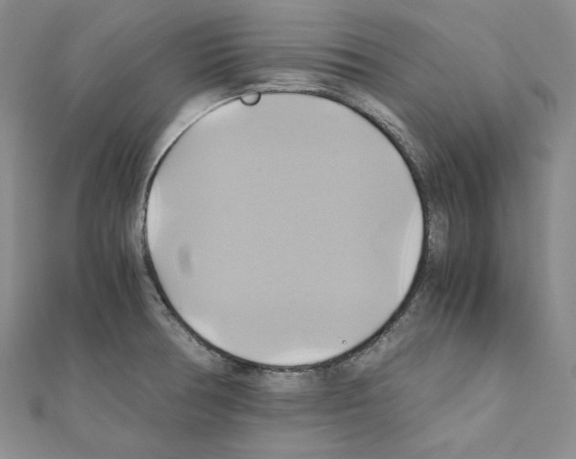 X0000110971378200907310920