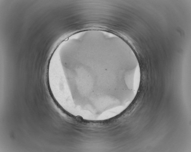 X0000110971379200907310920