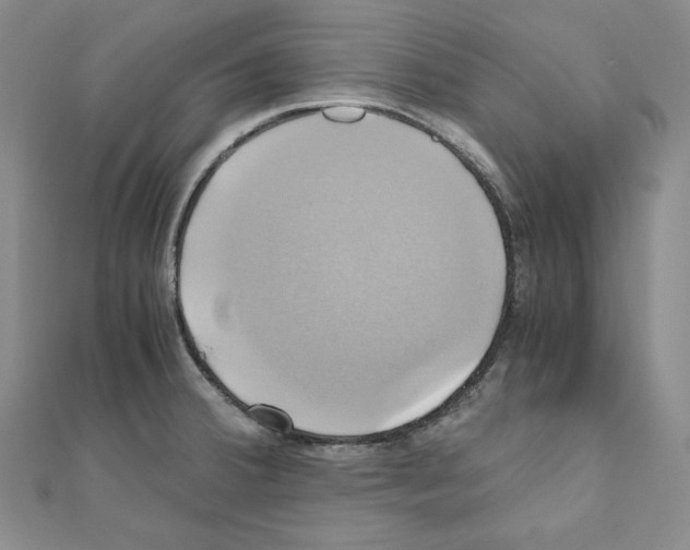 X0000110971380200907310920