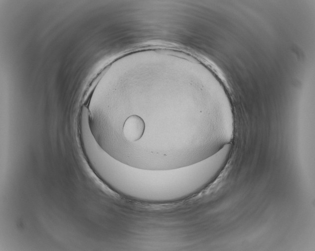 X0000110971381200907310920
