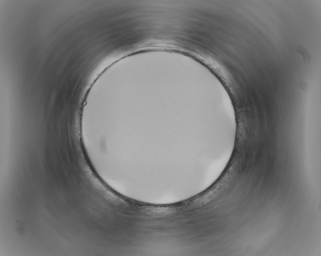 X0000110971382200907310920