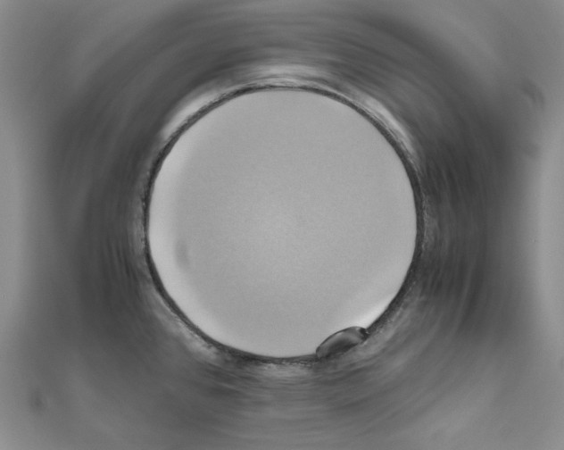 X0000110971384200907310920