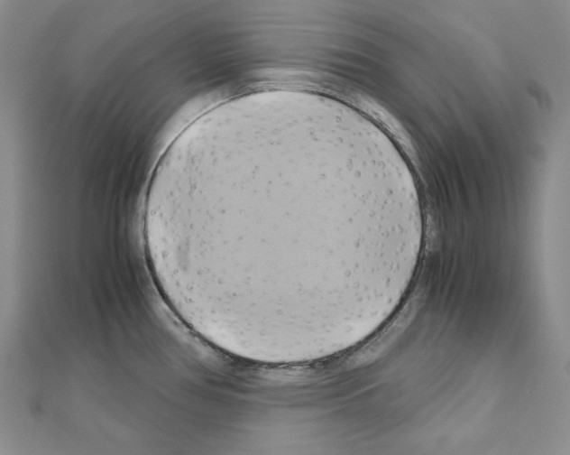X0000110971386200907310920