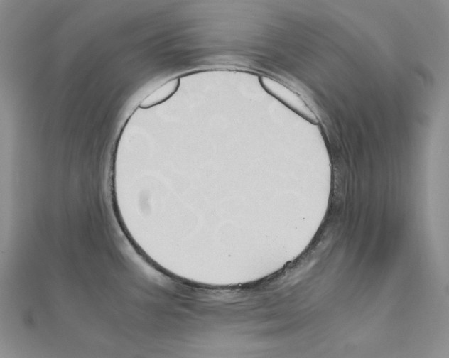 X0000110971387200907310920