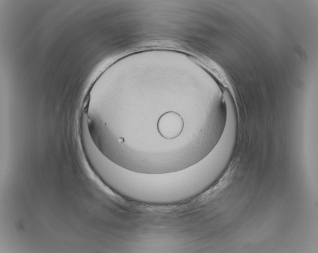 X0000110971389200907310920