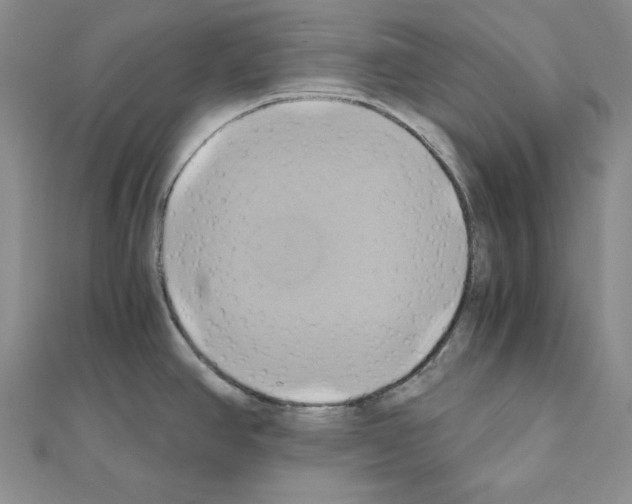 X0000110971390200907310920