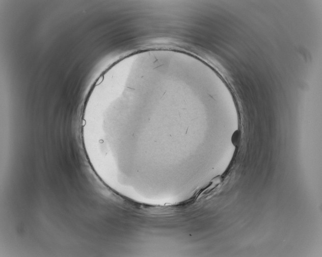 X0000110971392200907310920