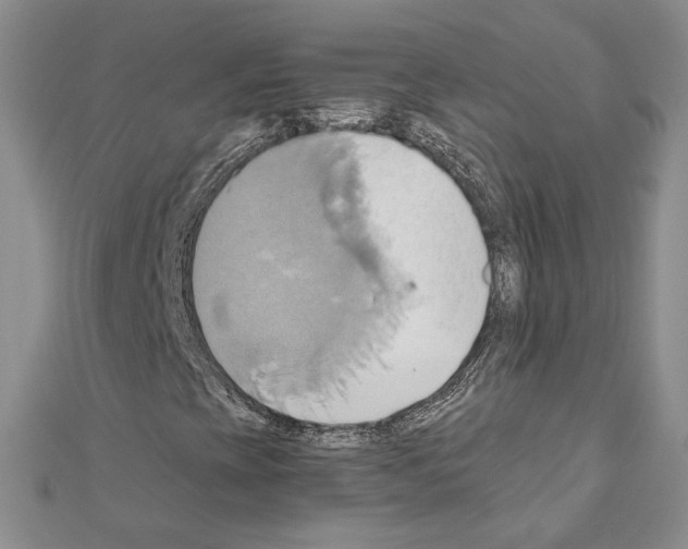 X0000110971393200907310920