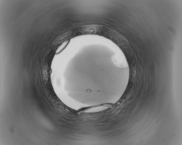 X0000110971394200907310920