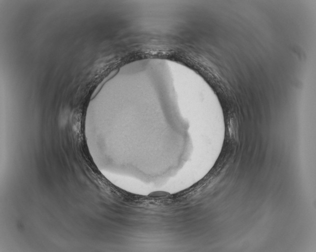 X0000110971396200907310920
