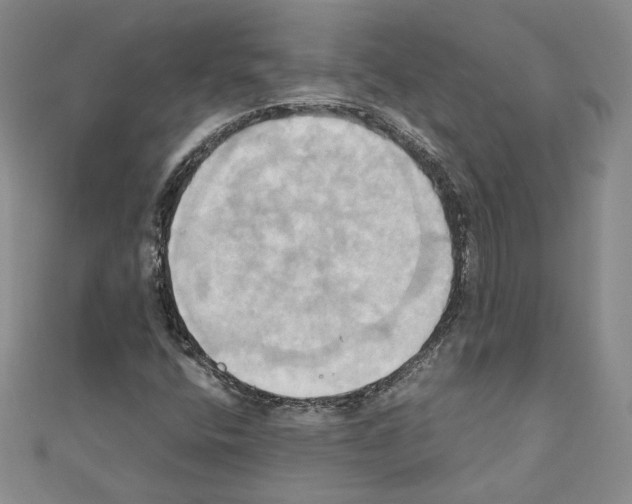 X0000110971400200907310920