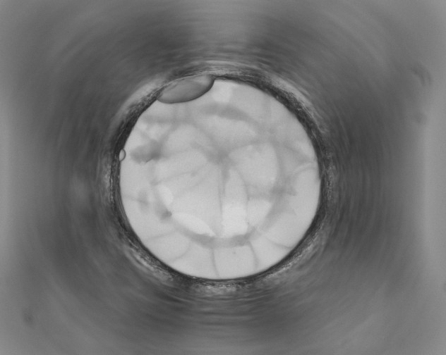 X0000110971403200907310920