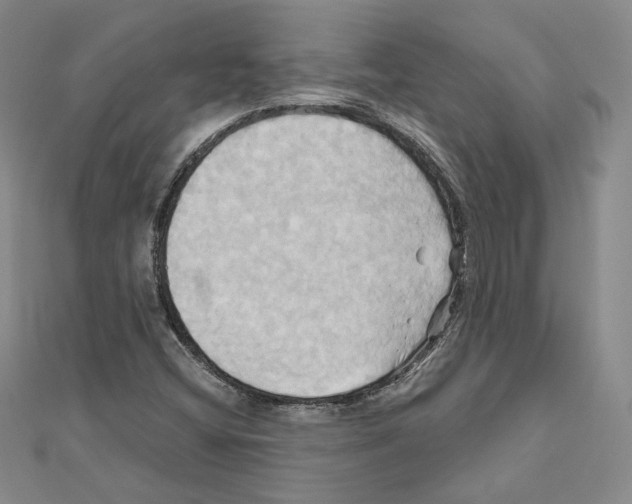 X0000110971404200907310920