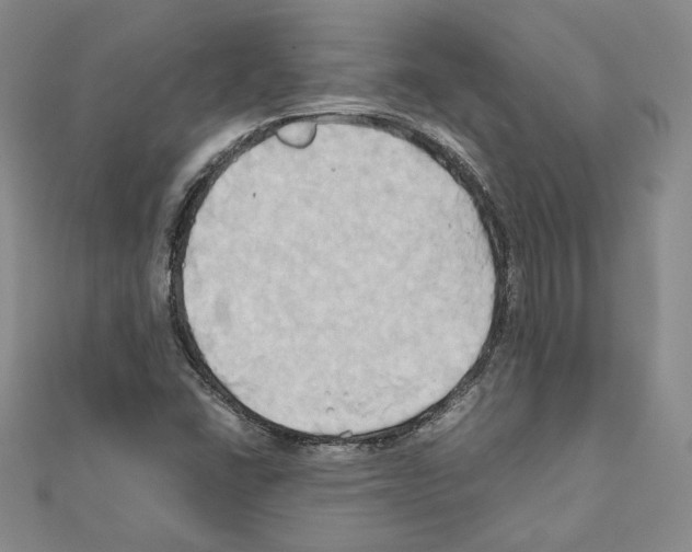 X0000110971406200907310920