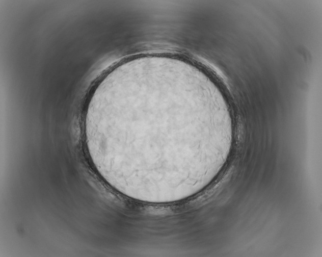 X0000110971407200907310920