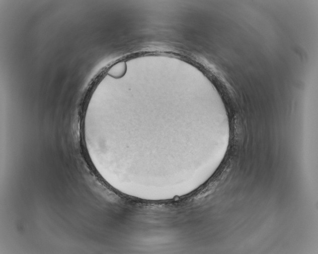 X0000110971408200907310920