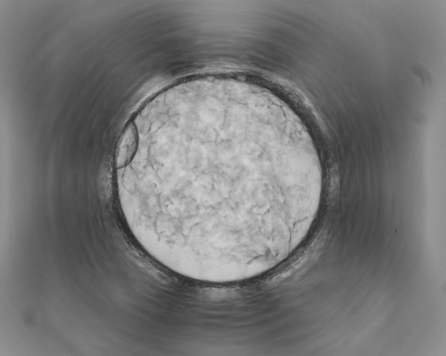 X0000110971409200907310920