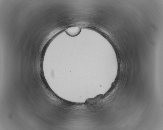 X0000110971410200907310920