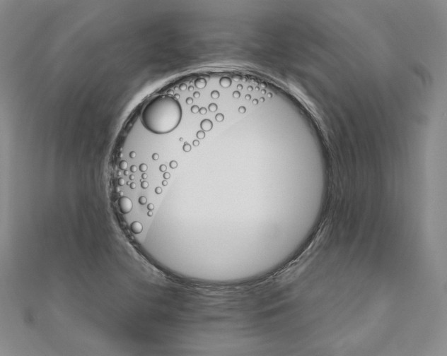 X0000110971412200907310920