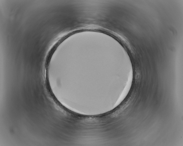 X0000110971414200907310920