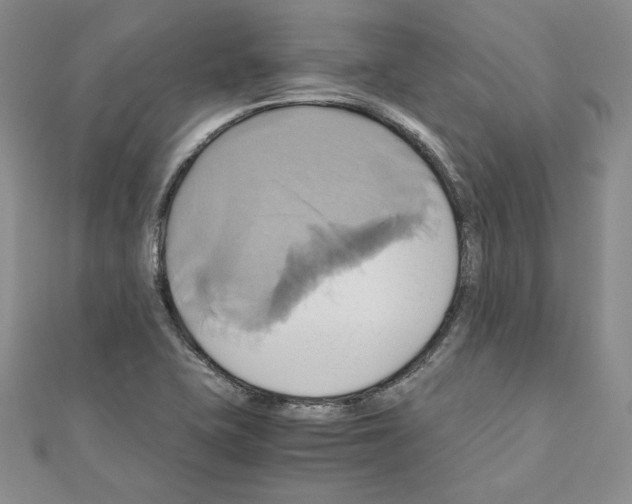 X0000110971415200907310920
