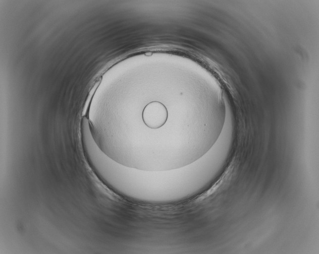 X0000110971417200907310920