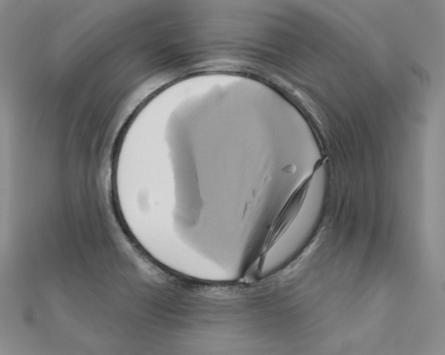 X0000110971418200907310920