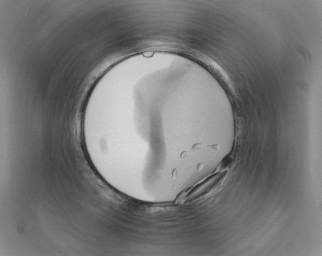 X0000110971419200907310920