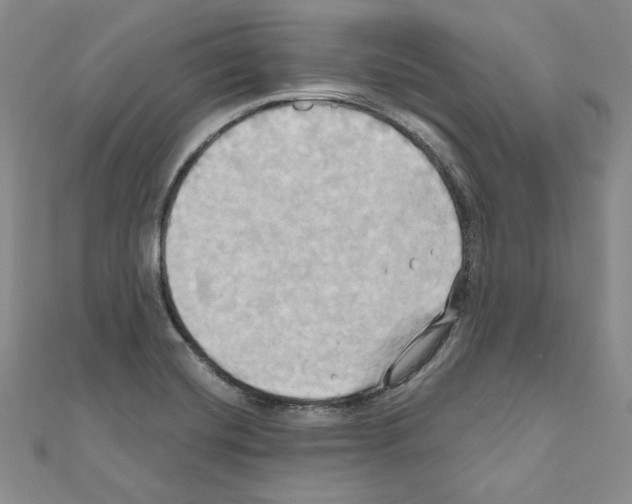 X0000110971420200907310920